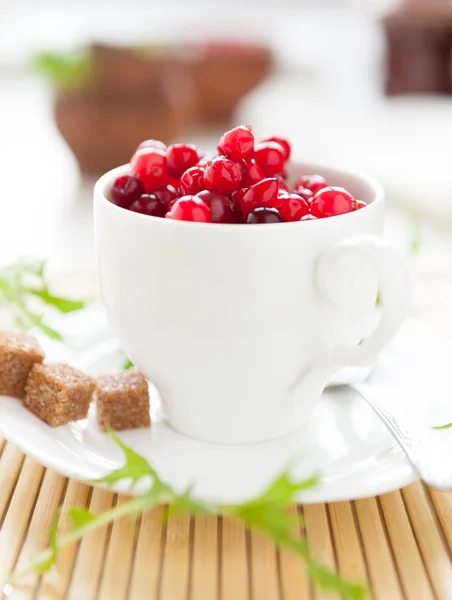 Fresh cranberries in a white cup and saucer — Stock Photo, Image