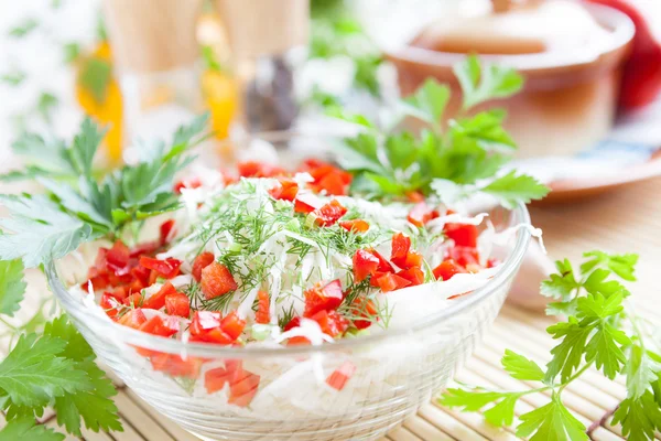 Ensalada de col crujiente con pimentón y eneldo —  Fotos de Stock