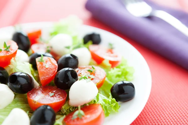 Voedzaam salade met verse tomaten en mozzarella — Stockfoto