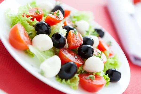 Mooi en helder salade voor een goede gezondheid — Stockfoto