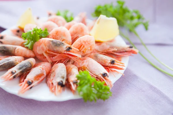 Beaucoup de petites crevettes sur un plat blanc — Photo