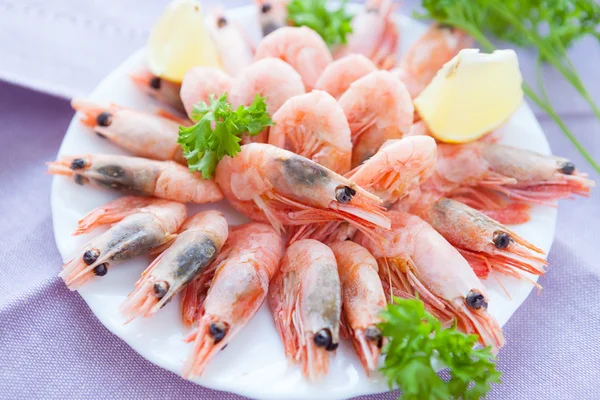 Beaucoup de crevettes sur une assiette blanche — Photo