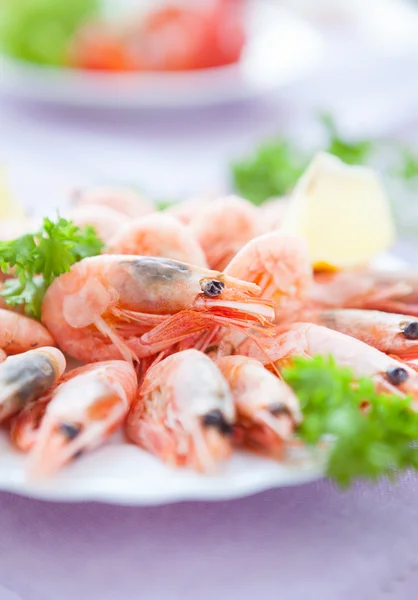 Many great shrimp on white plate with greens — Stock Photo, Image