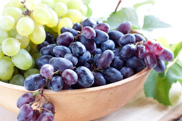 Blue grapes in a clay bowl — Stock Photo, Image