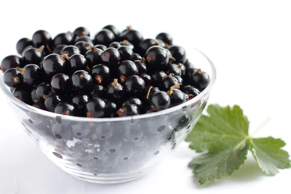 Schwarze Johannisbeeren in einer durchsichtigen Schüssel. — Stockfoto