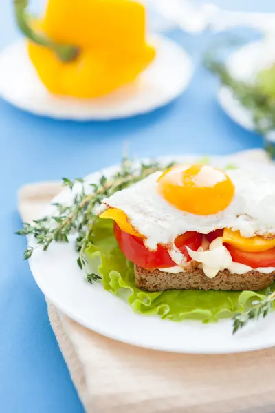 Huevo frito en un sándwich con verduras —  Fotos de Stock