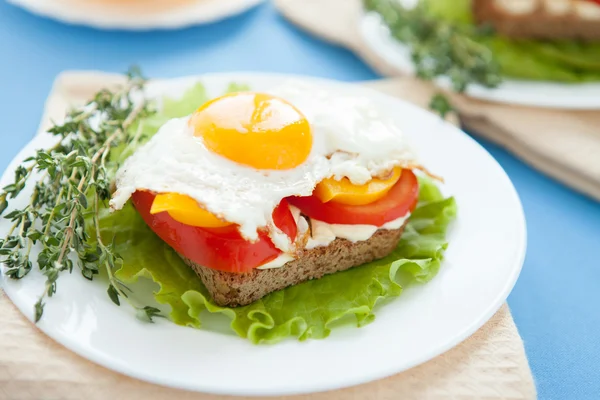 Fried egg on bread and vegetables — Stock Photo, Image