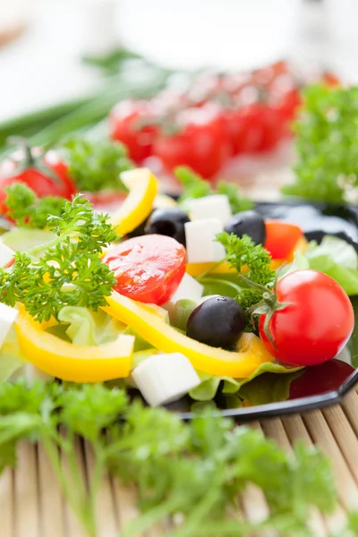 Bela salada de tomate, pimentão e verdes — Fotografia de Stock