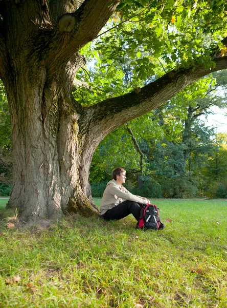 Man sitter vilande under en stor gammal ek — Stockfoto