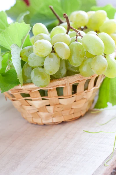 Muscat grapes in a wicker basket on the board — Stock Photo, Image