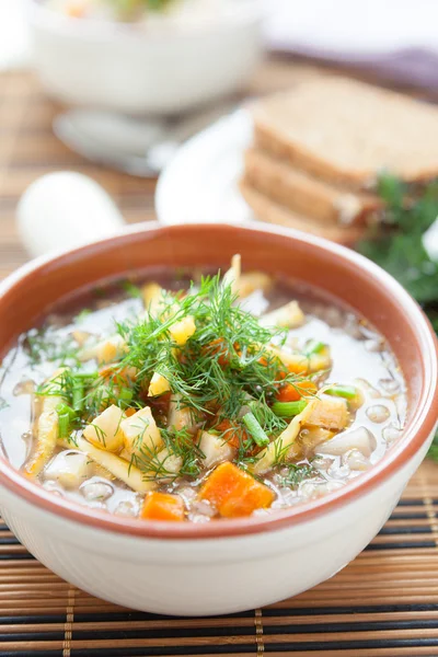 Duftende Gemüsesuppe — Stockfoto