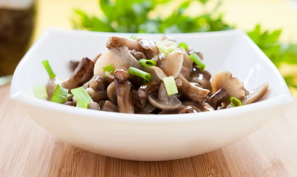 Marinated mushrooms in a white bowl — Stock Photo, Image