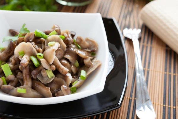 Salad of pickled honey agarics — Stock Photo, Image