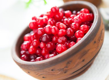 Cranberries seramik kase