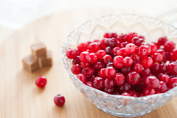Cranberries maduras em uma tigela de vidro e açúcar refinado — Fotografia de Stock