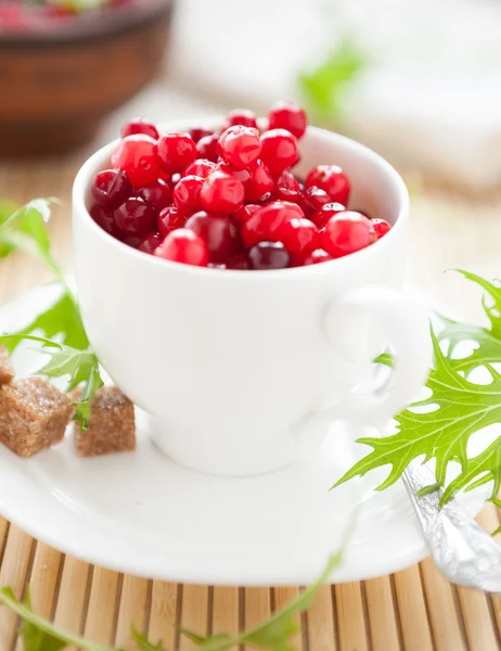Cranberries em uma xícara branca — Fotografia de Stock