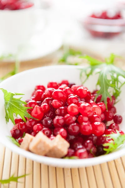 Olgun cranberries ile beyaz bir kase şeker — Stok fotoğraf