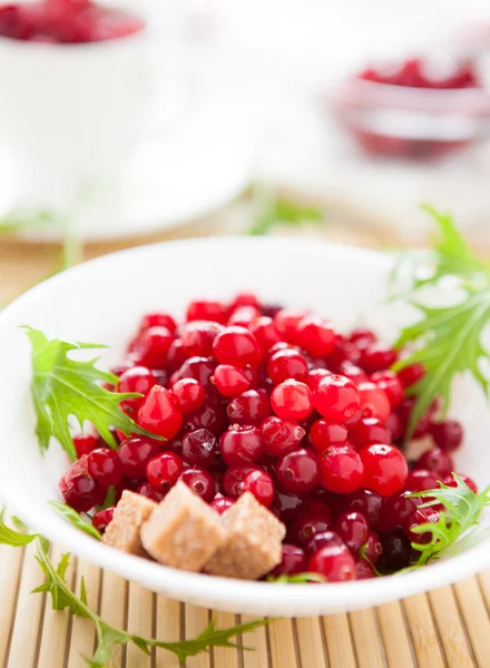 Cranberry com açúcar de cana em uma tigela branca — Fotografia de Stock