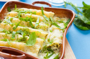 cannelloni cooked with béchamel sauce
