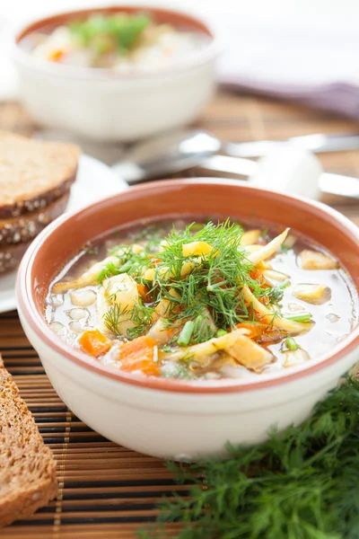 2 つの芳香族の野菜スープ — ストック写真