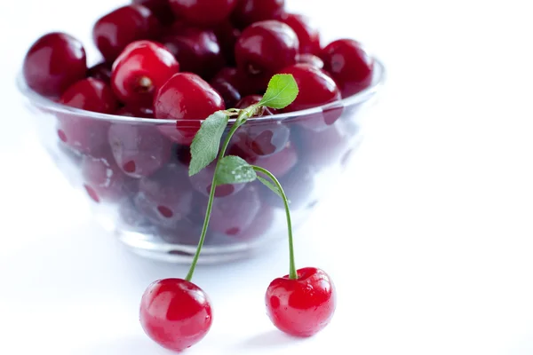 Czerwone i soczyste owoce. wiśnia — Zdjęcie stockowe