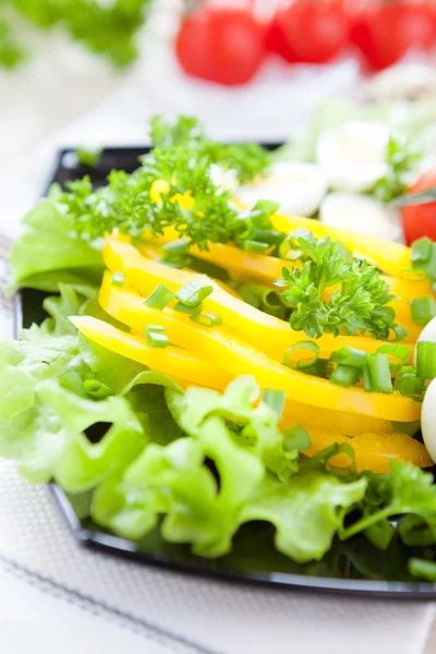 Salad with spring greens and yellow pepper — Stock Photo, Image