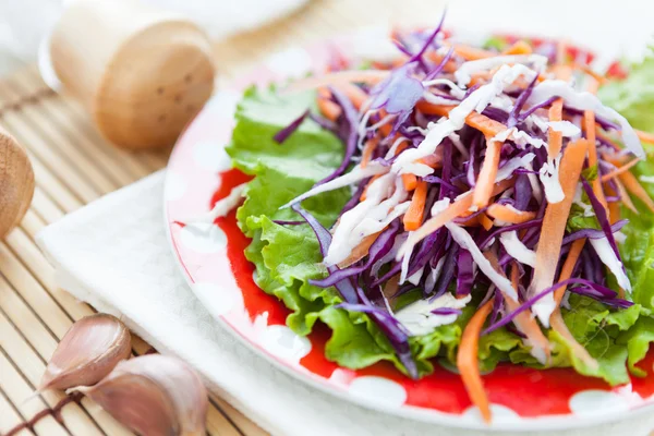 Vitkål morot sallad på salladsblad — Stockfoto