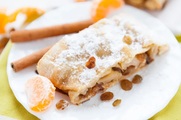 Beyaz bir tabak üzerinde geleneksel elma strudel — Stok fotoğraf