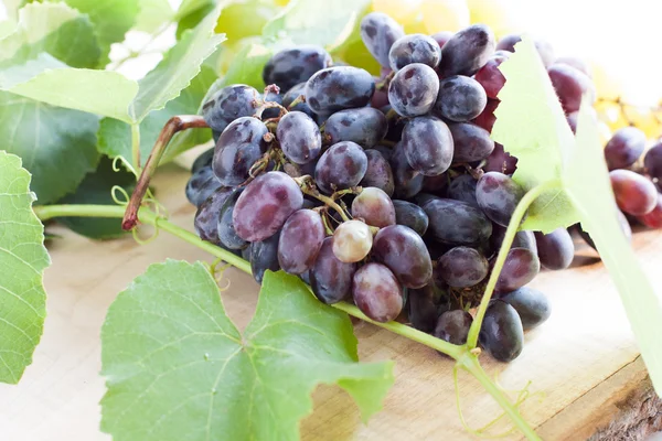 Branch of blue grapes on the board — Stock Photo, Image