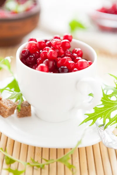 Ripe cranberries in a white cup — Stock Photo, Image