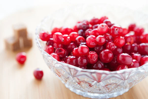 Cranberries em uma tigela transparente e açúcar refinado — Fotografia de Stock