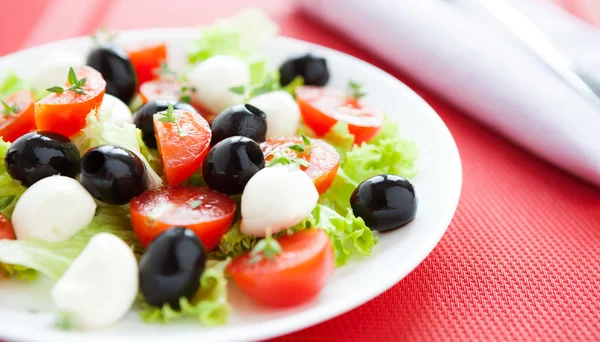 Frischer Salat mit Mozzarella und Tomaten — Stockfoto