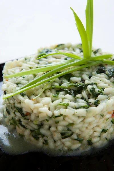 Risotto with spinach and greens closeup — Stock Photo, Image