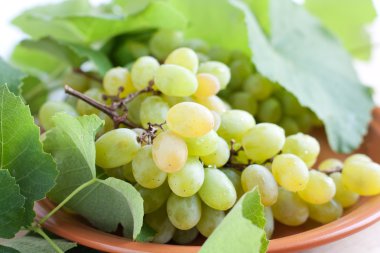 Ripe juicy grapes on the plate clipart