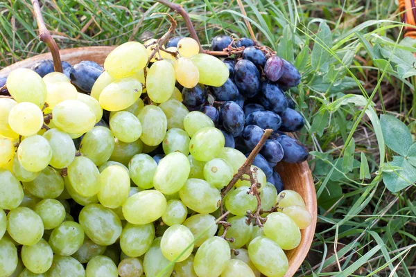 Les raisins dans un bol en céramique — Photo