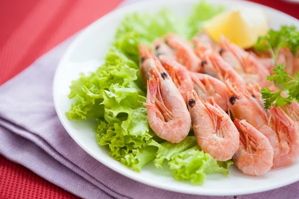 Crevettes sur feuille de laitue sur une assiette blanche — Photo
