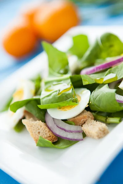Salada de espinafre e croutons — Fotografia de Stock