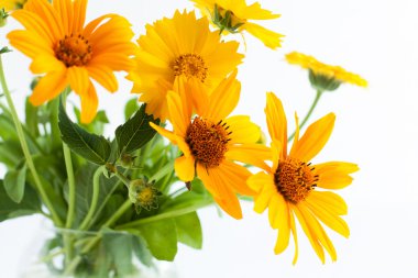 Sarı marigolds şeffaf cam aranjman