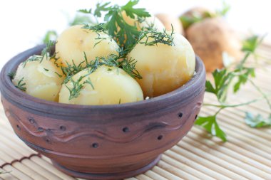 Yeşil dereotu ile haşlanmış patates