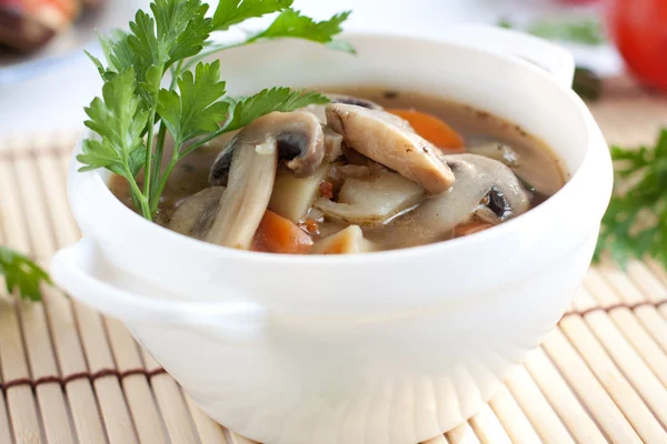 Lean mushroom soup with vegetables — Stock Photo, Image