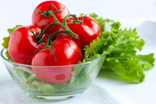Красные помидоры и салат — стоковое фото