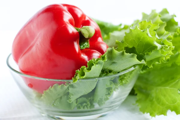 Whole red pepper — Stock Photo, Image
