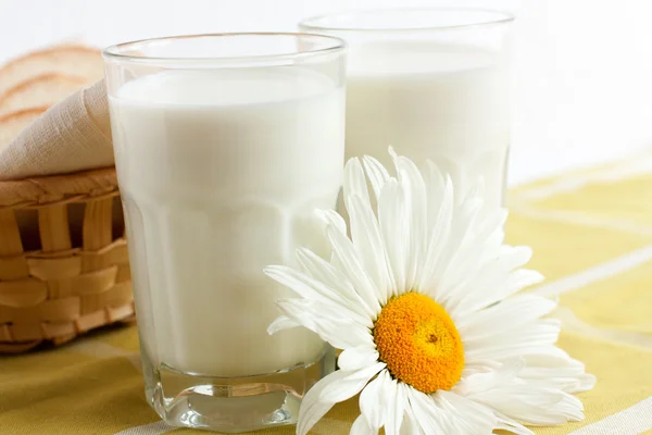 Zwei Gläser Milch — Stockfoto