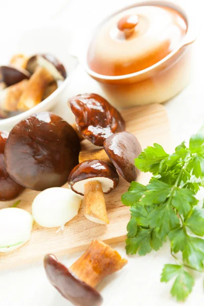 Wild mushrooms and a ceramic saucepan — Stock Photo, Image