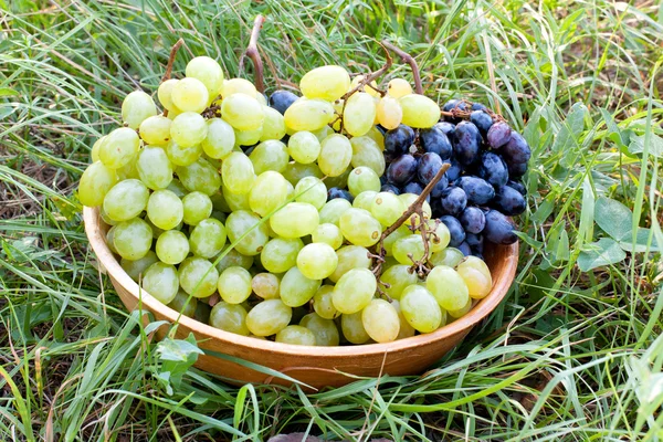 Uvas no prato na grama — Fotografia de Stock
