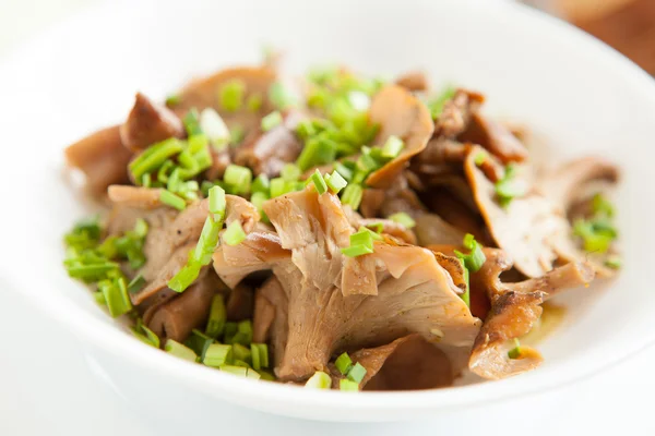 Fried chanterelles with green onions in a white bowl — Stock Photo, Image