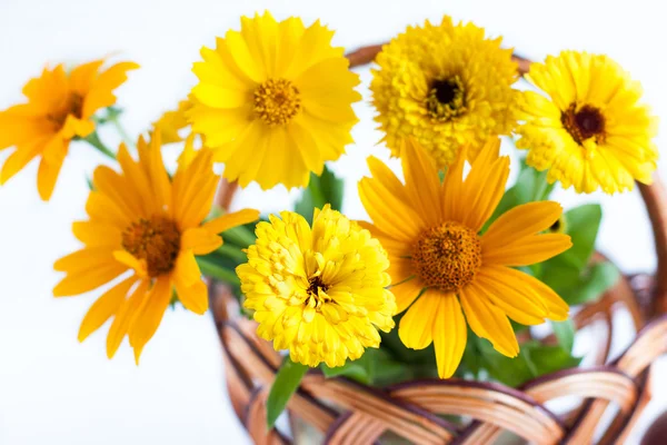 黄色金盏花的小花束 — 图库照片