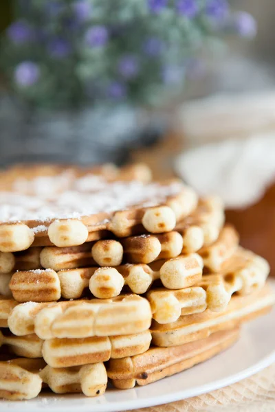 Waffles caseiros com açúcar em pó — Fotografia de Stock