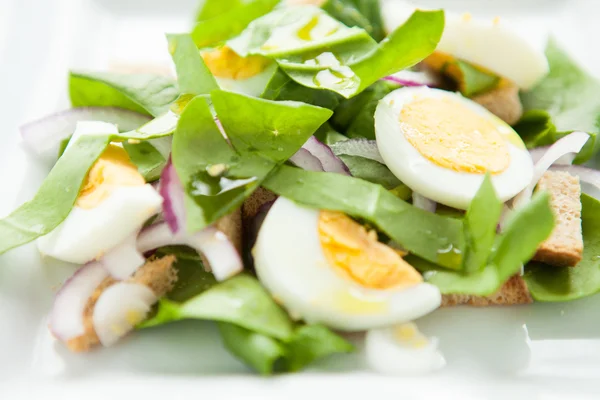 Салат со свежим салатом и яйцами — стоковое фото