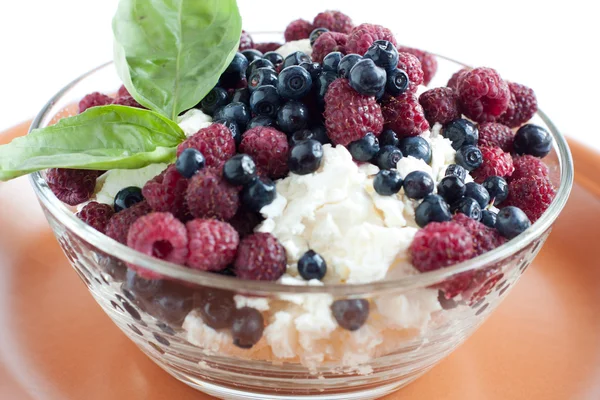 Cottage cheese with summer berries — Stock Photo, Image